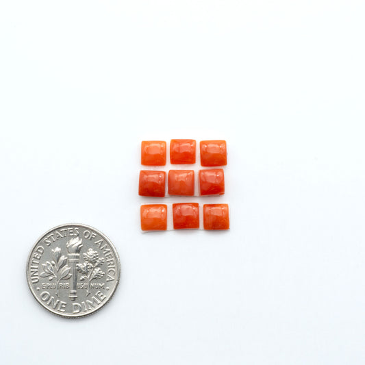 Discover natural Red Coral cabochons with deep crimson hues and smooth polish, ideal for creating timeless handcrafted rings, pendants, and custom designs.