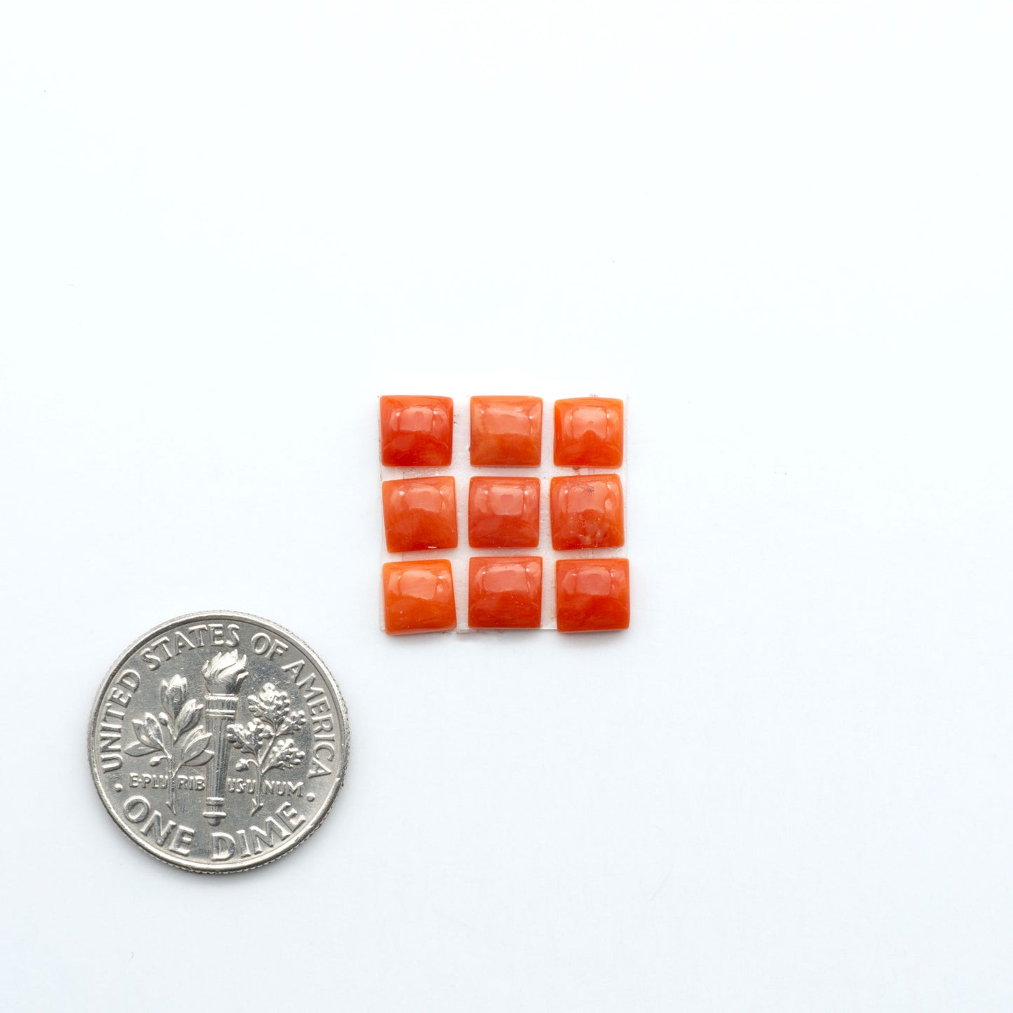 Discover natural Red Coral cabochons with deep crimson hues and smooth polish, ideal for creating timeless handcrafted rings, pendants, and custom designs.