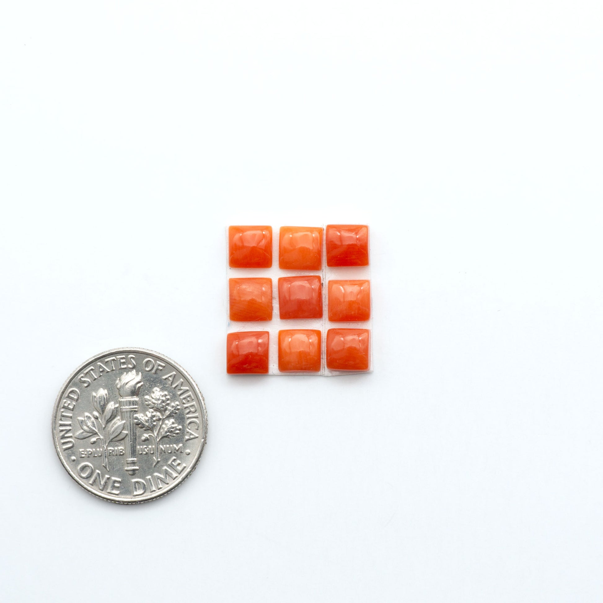 Discover natural Red Coral cabochons with deep crimson hues and smooth polish, ideal for creating timeless handcrafted rings, pendants, and custom designs.