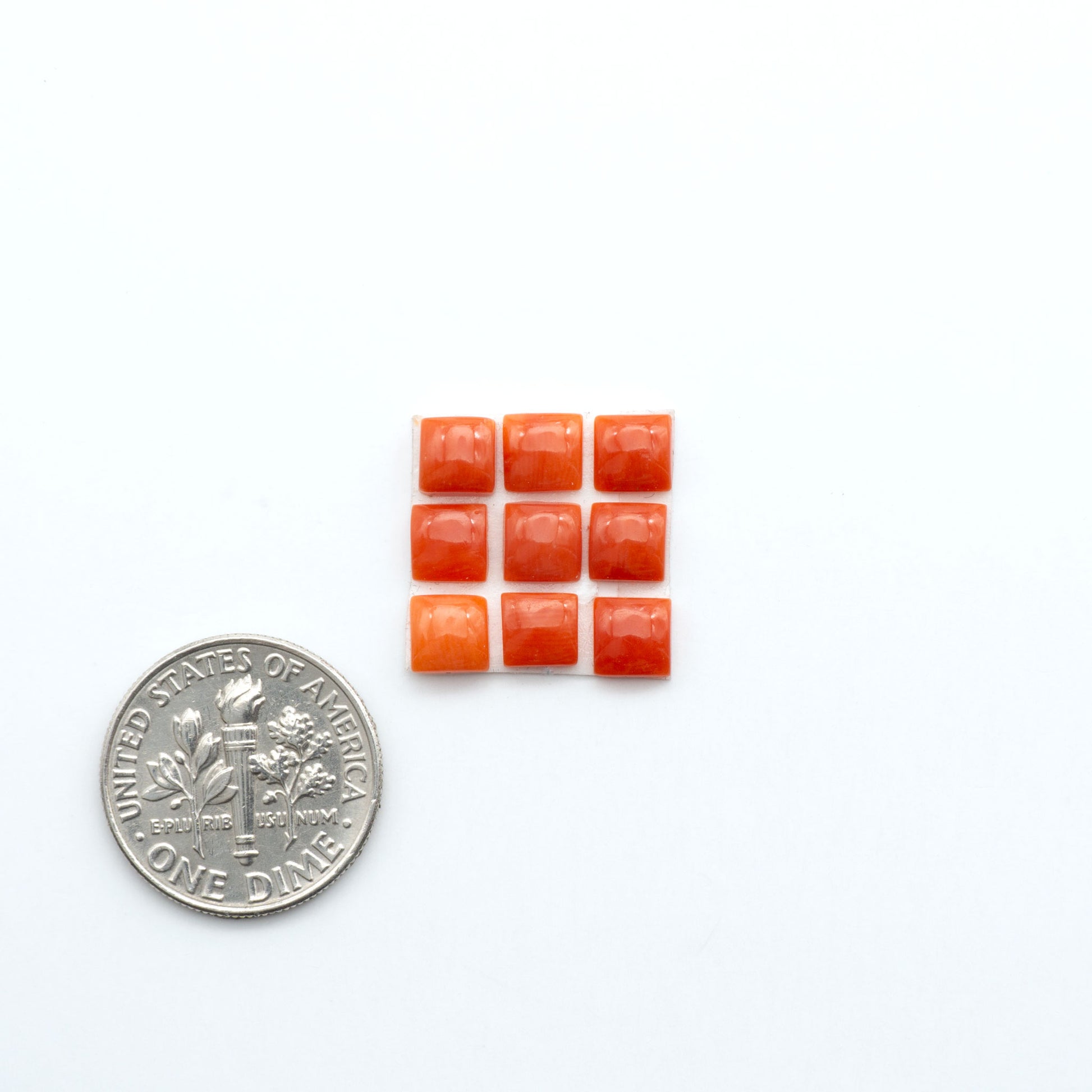 Discover natural Red Coral cabochons with deep crimson hues and smooth polish, ideal for creating timeless handcrafted rings, pendants, and custom designs.