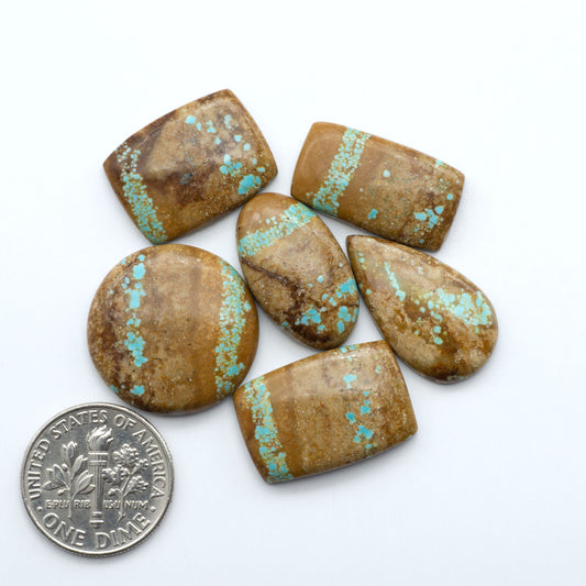 Turquoise-stained brown stones on a white background with a U.S. quarter for scale. Number 8 Turquoise Cabochons have been selected for their quality and unique appearance. Don't miss the chance to add a one-of-a-kind piece to your collection.