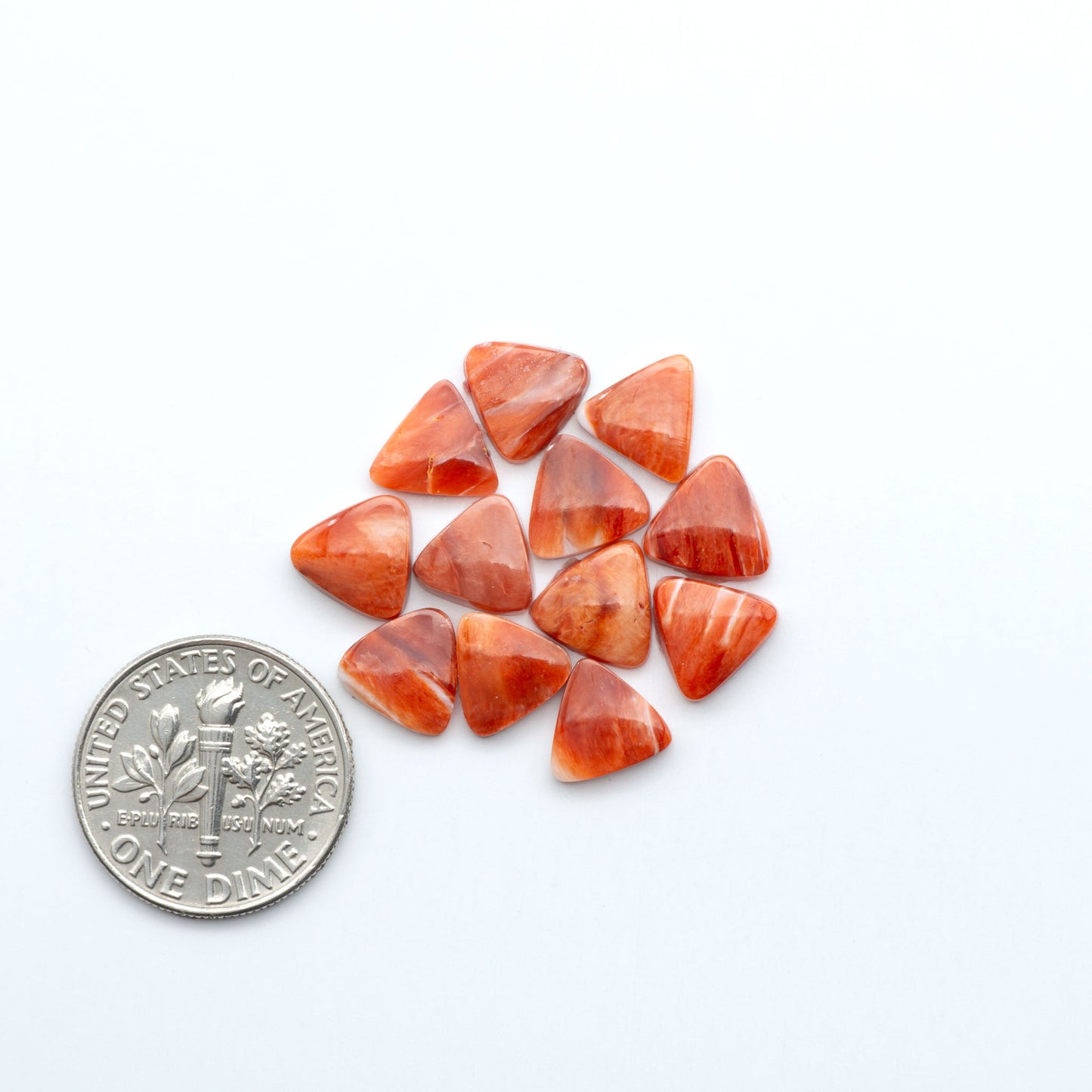 Add a unique touch to your jewelry designs with our beautiful 100% Natural Spiny Oyster Shell Cabochons. Incorporate the beauty of the sea into your creations.