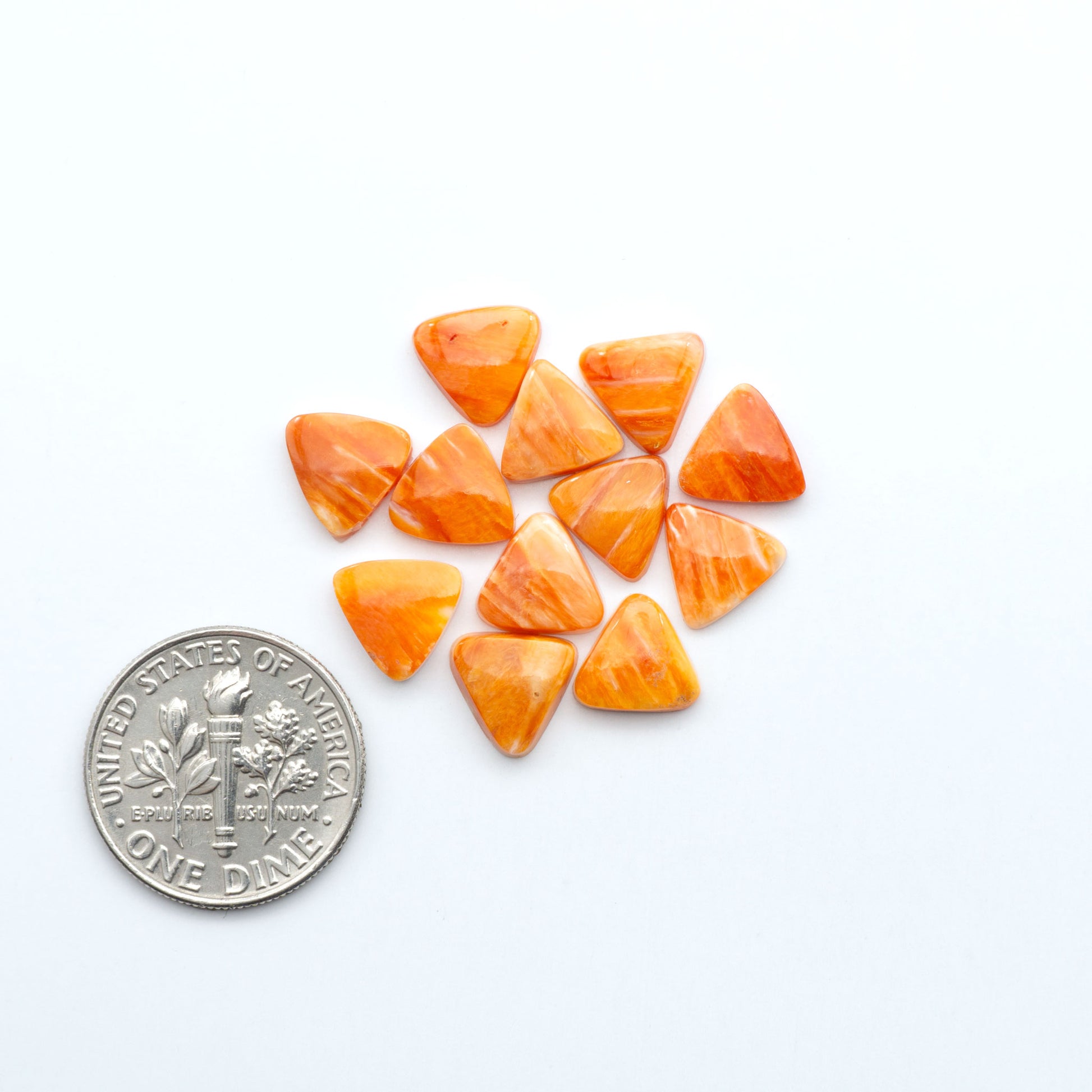 Add a unique touch to your jewelry designs with our beautiful 100% Natural Spiny Oyster Shell Cabochons. Incorporate the beauty of the sea into your creations.