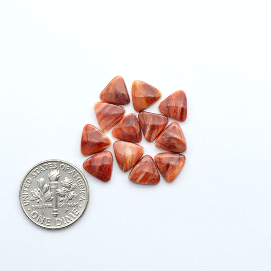 Add a unique touch to your jewelry designs with our beautiful 100% Natural Spiny Oyster Shell Cabochons. Incorporate the beauty of the sea into your creations.