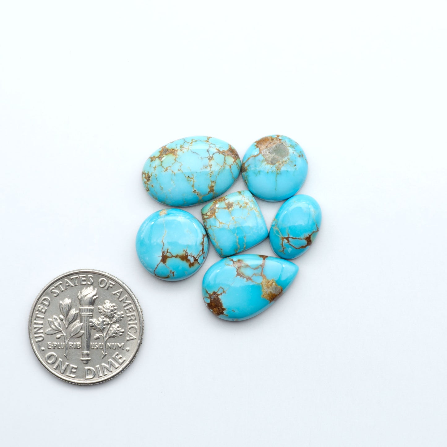 Turquoise stones with gold veins on a white background, next to a U.S. dollar coin. Sierra Bella Turquoise cabochons feature rich blue-green color and natural matrix variation. Ideal for silversmiths, jewelers, and custom jewelry designs