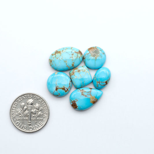 Turquoise stones with gold veins on a white background, next to a U.S. dollar coin. Sierra Bella Turquoise cabochons feature rich blue-green color and natural matrix variation. Ideal for silversmiths, jewelers, and custom jewelry designs