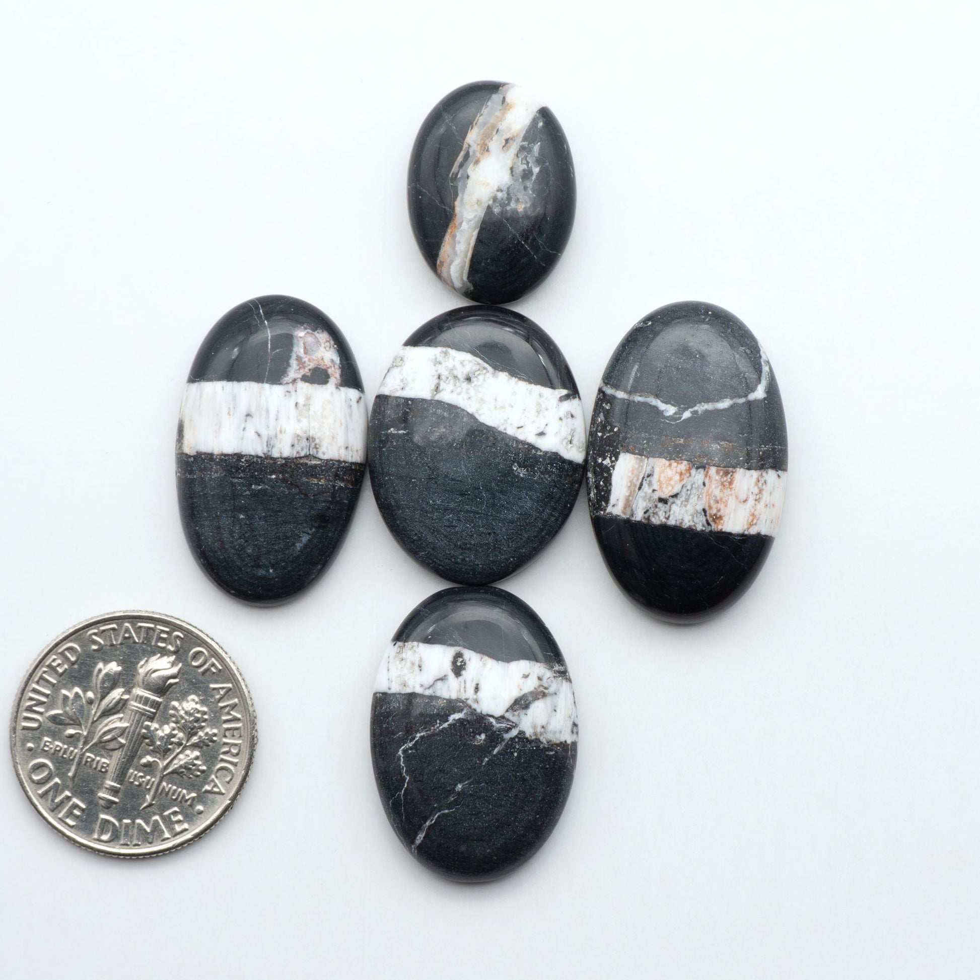 Black and white marbled stones with a dime for scale on a white background.Natural White Buffalo Stone Cabochons are semi-precious gemstones cut into shapes ideal for jewelry-making, making them an excellent choice for artisans.