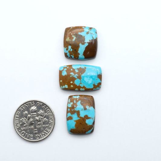 Number 8 Turquoise Cabochons have been selected for their quality and unique appearance. Don't miss the chance to add a one-of-a-kind piece to your collection.