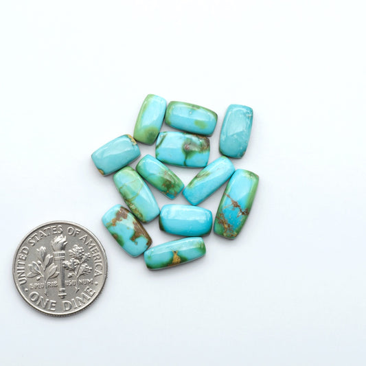 Sonoran Mountain Turquoise