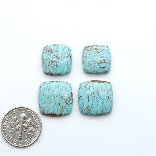 Number 8 Turquoise Cabochons have been selected for their quality and unique appearance. Don't miss the chance to add a one-of-a-kind piece to your collection.