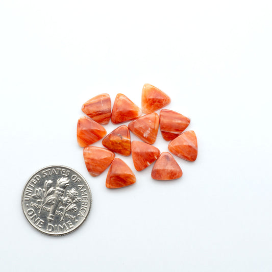 Add a unique touch to your jewelry designs with our beautiful 100% Natural Spiny Oyster Shell Cabochons. Incorporate the beauty of the sea into your creations.