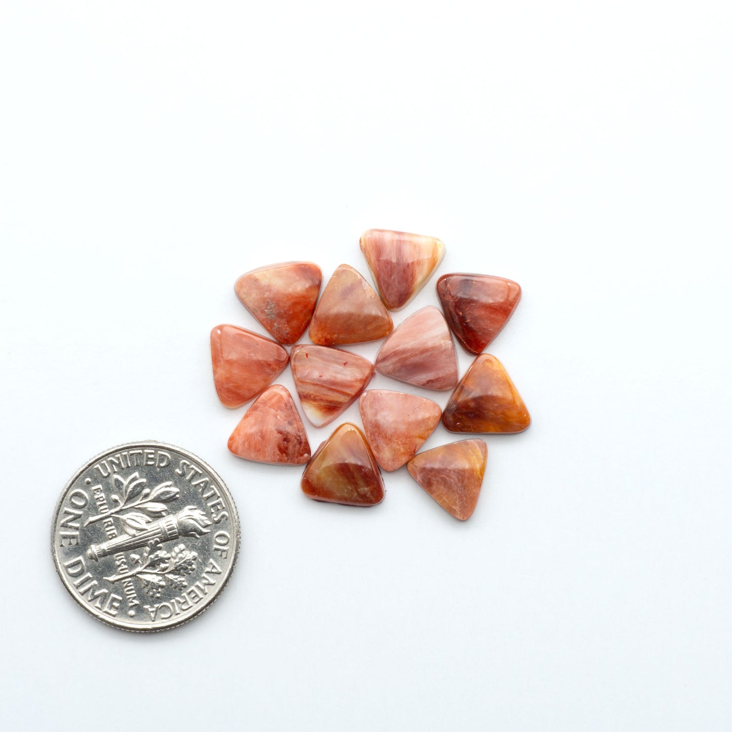 Add a unique touch to your jewelry designs with our beautiful 100% Natural Spiny Oyster Shell Cabochons. Incorporate the beauty of the sea into your creations.