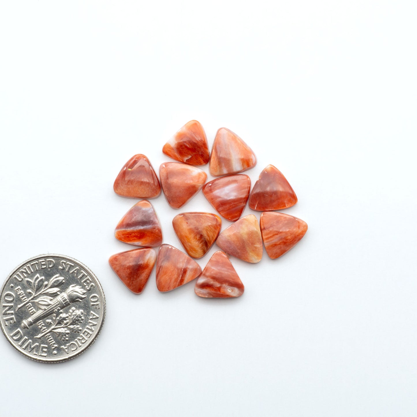 Add a unique touch to your jewelry designs with our beautiful 100% Natural Spiny Oyster Shell Cabochons. Incorporate the beauty of the sea into your creations.