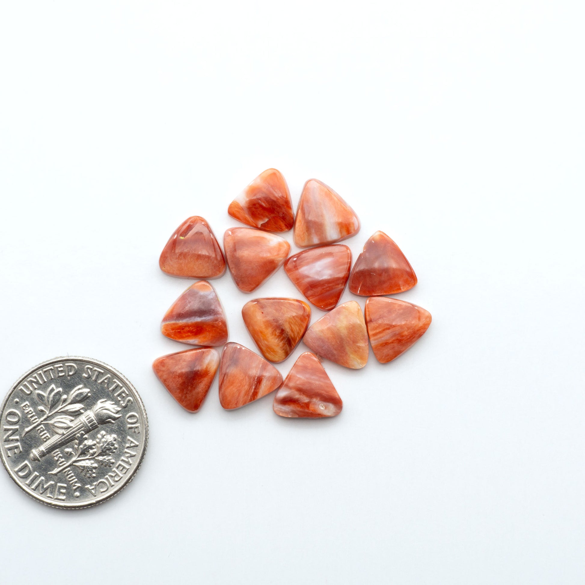 Add a unique touch to your jewelry designs with our beautiful 100% Natural Spiny Oyster Shell Cabochons. Incorporate the beauty of the sea into your creations.