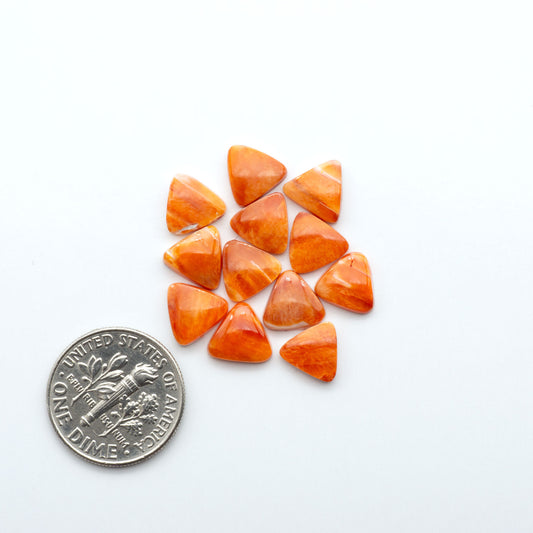 Add a unique touch to your jewelry designs with our beautiful 100% Natural Spiny Oyster Shell Cabochons. Incorporate the beauty of the sea into your creations.