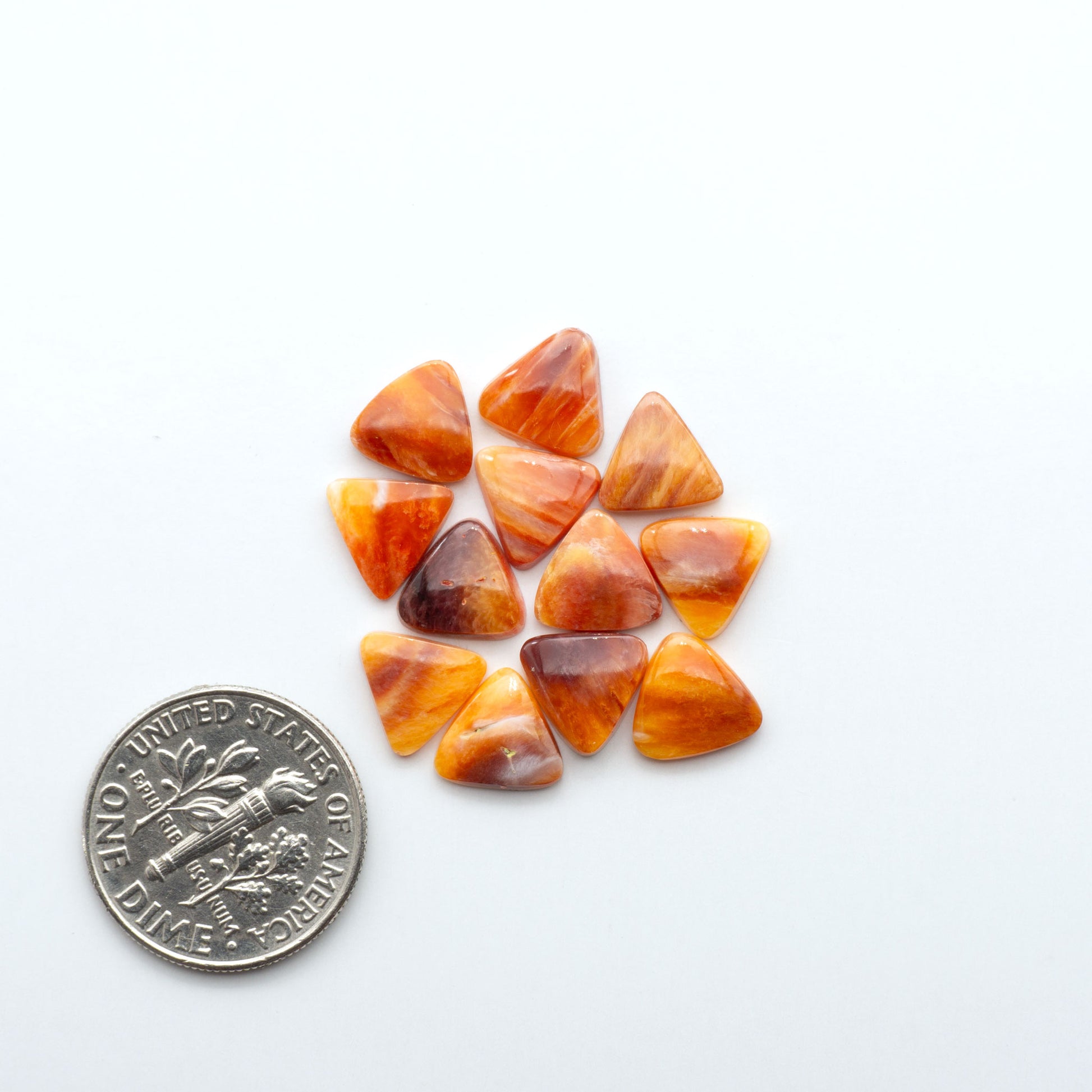 Add a unique touch to your jewelry designs with our beautiful 100% Natural Spiny Oyster Shell Cabochons. Incorporate the beauty of the sea into your creations.