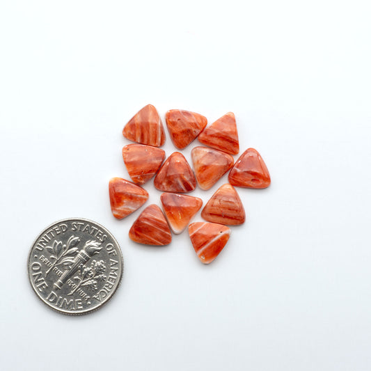 Add a unique touch to your jewelry designs with our beautiful 100% Natural Spiny Oyster Shell Cabochons. Incorporate the beauty of the sea into your creations.