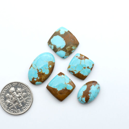 Five turquoise stones with brown accents on a white background, one coin for scale. Number 8 Turquoise Cabochons have been selected for their quality and unique appearance. Don't miss the chance to add a one-of-a-kind piece to your collection.