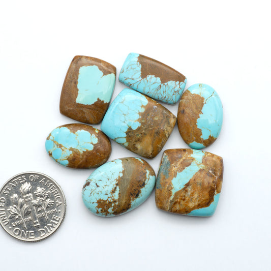 Turquoise stones with brown accents on a white background, one coin for scale. Number 8 Turquoise Cabochons have been selected for their quality and unique appearance. Don't miss the chance to add a one-of-a-kind piece to your collection.