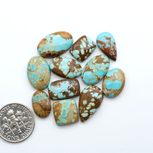 Turquoise and brown stones with a quarter for scale on a white background. Number 8 Turquoise Cabochons have been selected for their quality and unique appearance. Don't miss the chance to add a one-of-a-kind piece to your collection.
