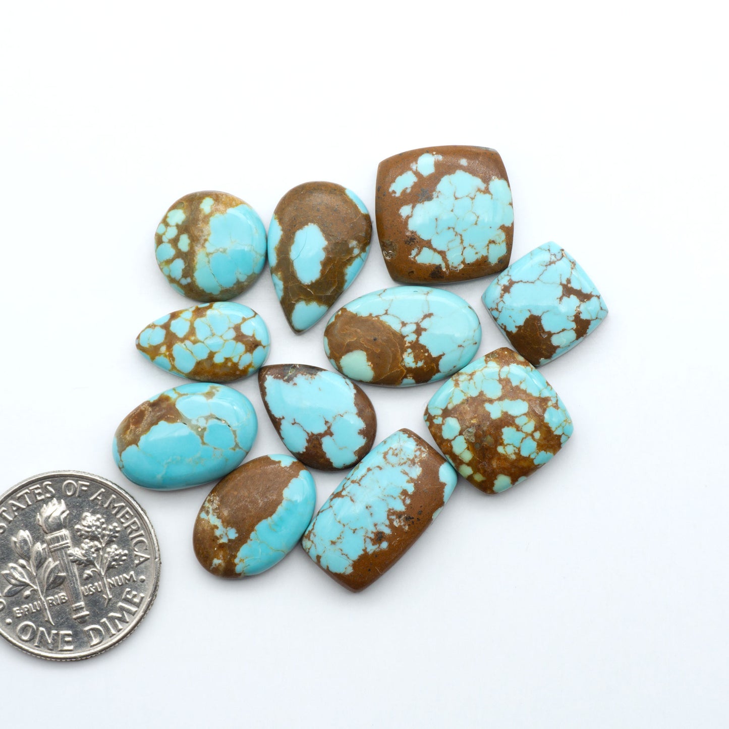 Turquoise stones with brown accents on a white background, one next to a dime for size comparison. Number 8 Turquoise Cabochons have been selected for their quality and unique appearance. Don't miss the chance to add a one-of-a-kind piece to your collection.