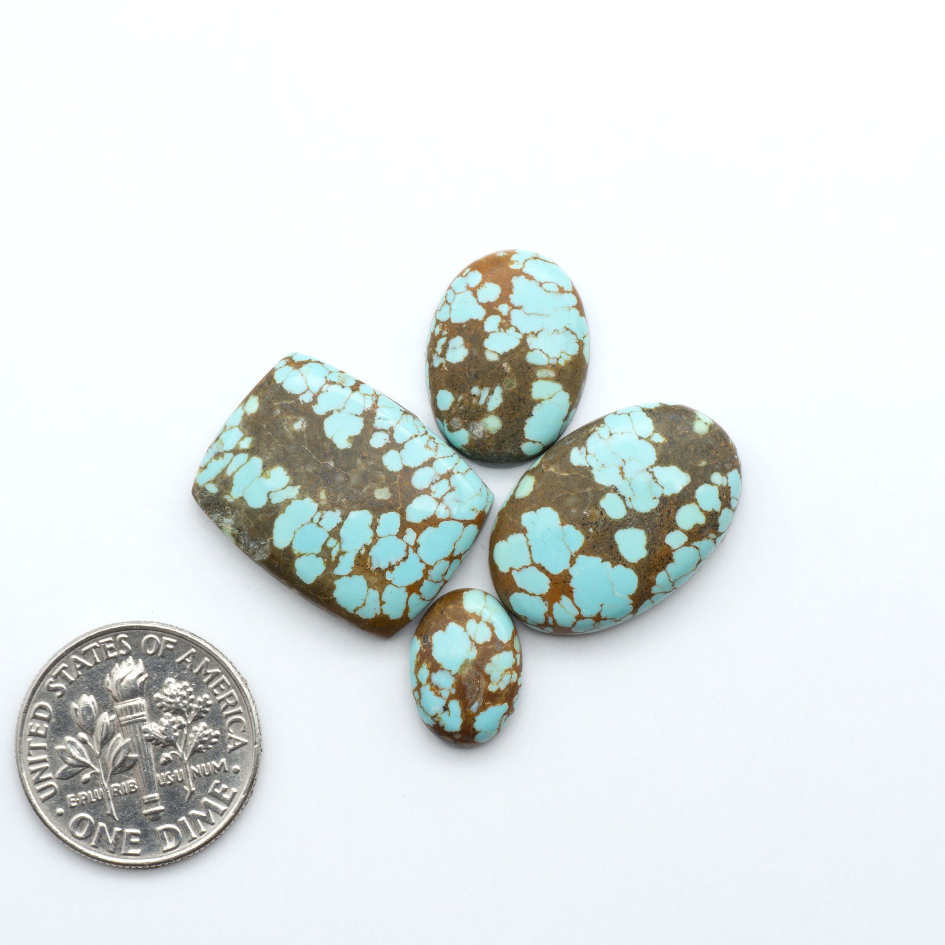 Turquoise stones with brown matrix on a white background, one stone size compared to a U.S. dollar coin. Number 8 Turquoise Cabochons have been selected for their quality and unique appearance. Don't miss the chance to add a one-of-a-kind piece to your collection.