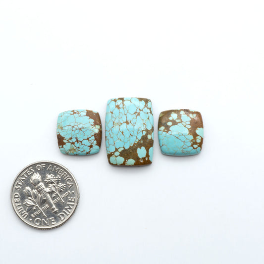 Three turquoise stones with brown accents next to a U.S. dime on a white background. Number 8 Turquoise Cabochons have been selected for their quality and unique appearance. Don't miss the chance to add a one-of-a-kind piece to your collection.