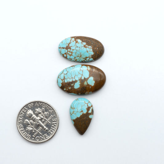 Three turquoise stones with brown accents on a white background, one next to a U.S. dime for size comparison. Number 8 Turquoise Cabochons have been selected for their quality and unique appearance. Don't miss the chance to add a one-of-a-kind piece to your collection.