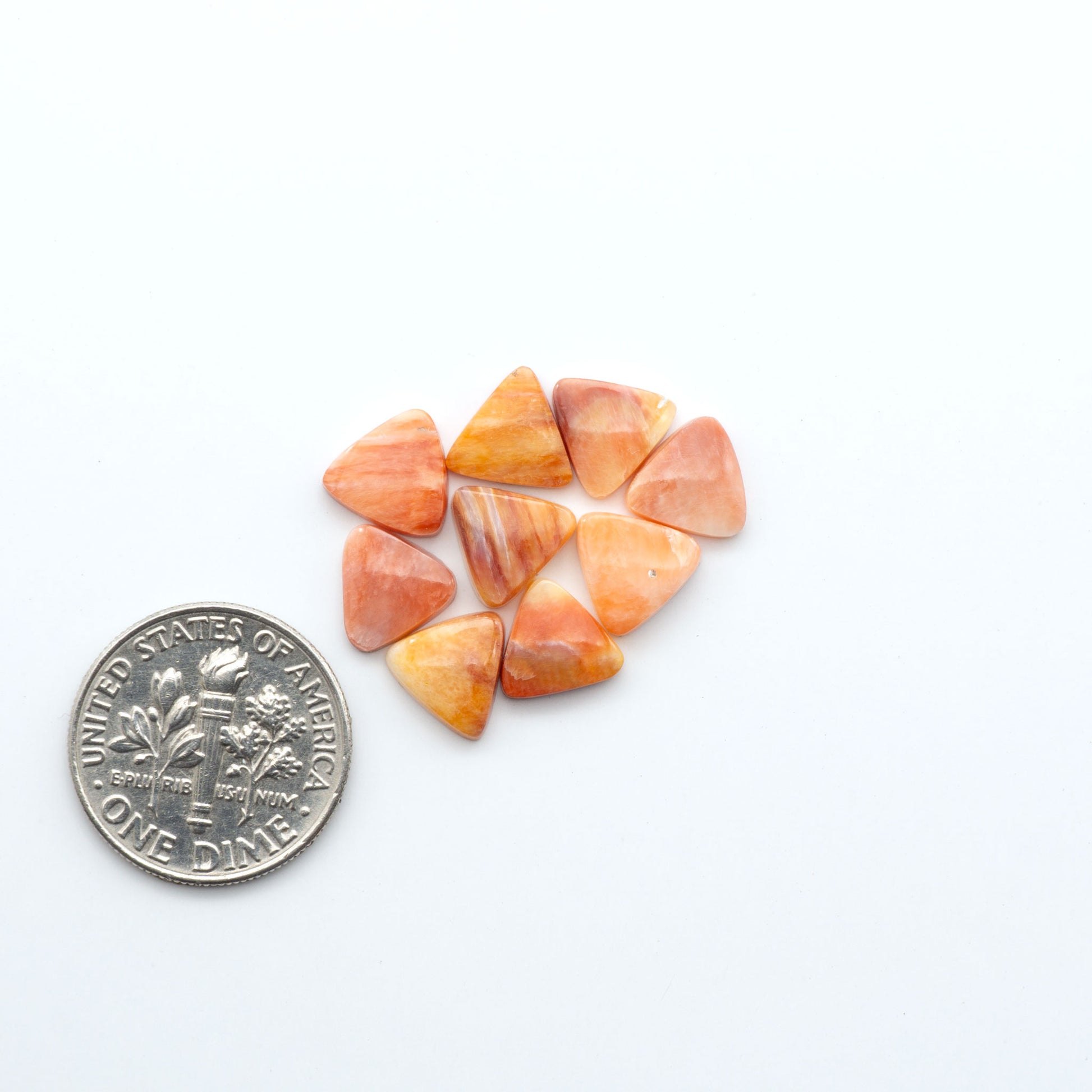 Add a unique touch to your jewelry designs with our beautiful 100% Natural Spiny Oyster Shell Cabochons. Incorporate the beauty of the sea into your creations.