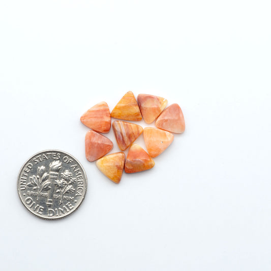 Add a unique touch to your jewelry designs with our beautiful 100% Natural Spiny Oyster Shell Cabochons. Incorporate the beauty of the sea into your creations.