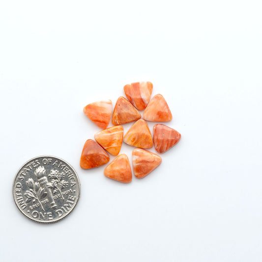 Add a unique touch to your jewelry designs with our beautiful 100% Natural Spiny Oyster Shell Cabochons. Incorporate the beauty of the sea into your creations.