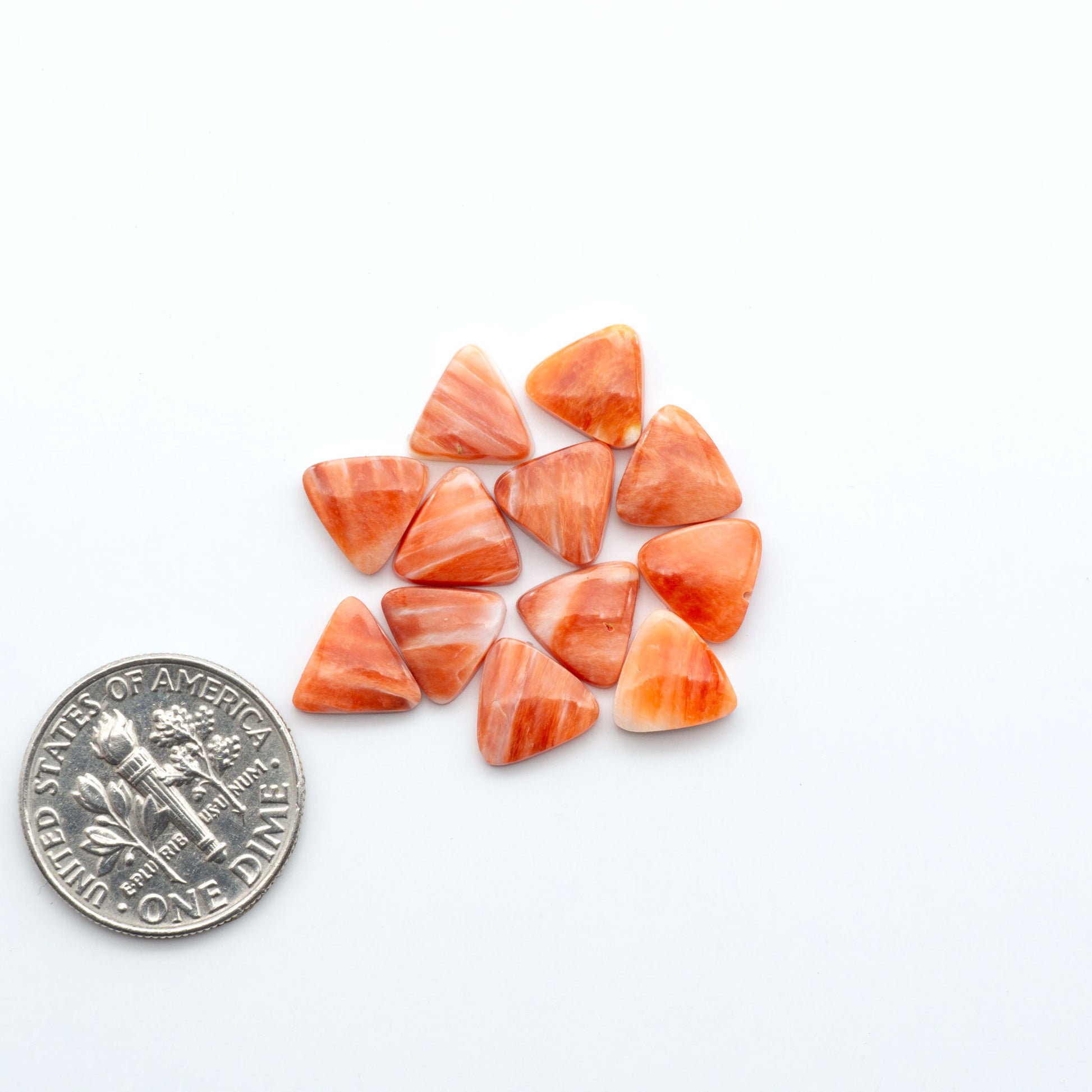 Add a unique touch to your jewelry designs with our beautiful 100% Natural Spiny Oyster Shell Cabochons. Incorporate the beauty of the sea into your creations.