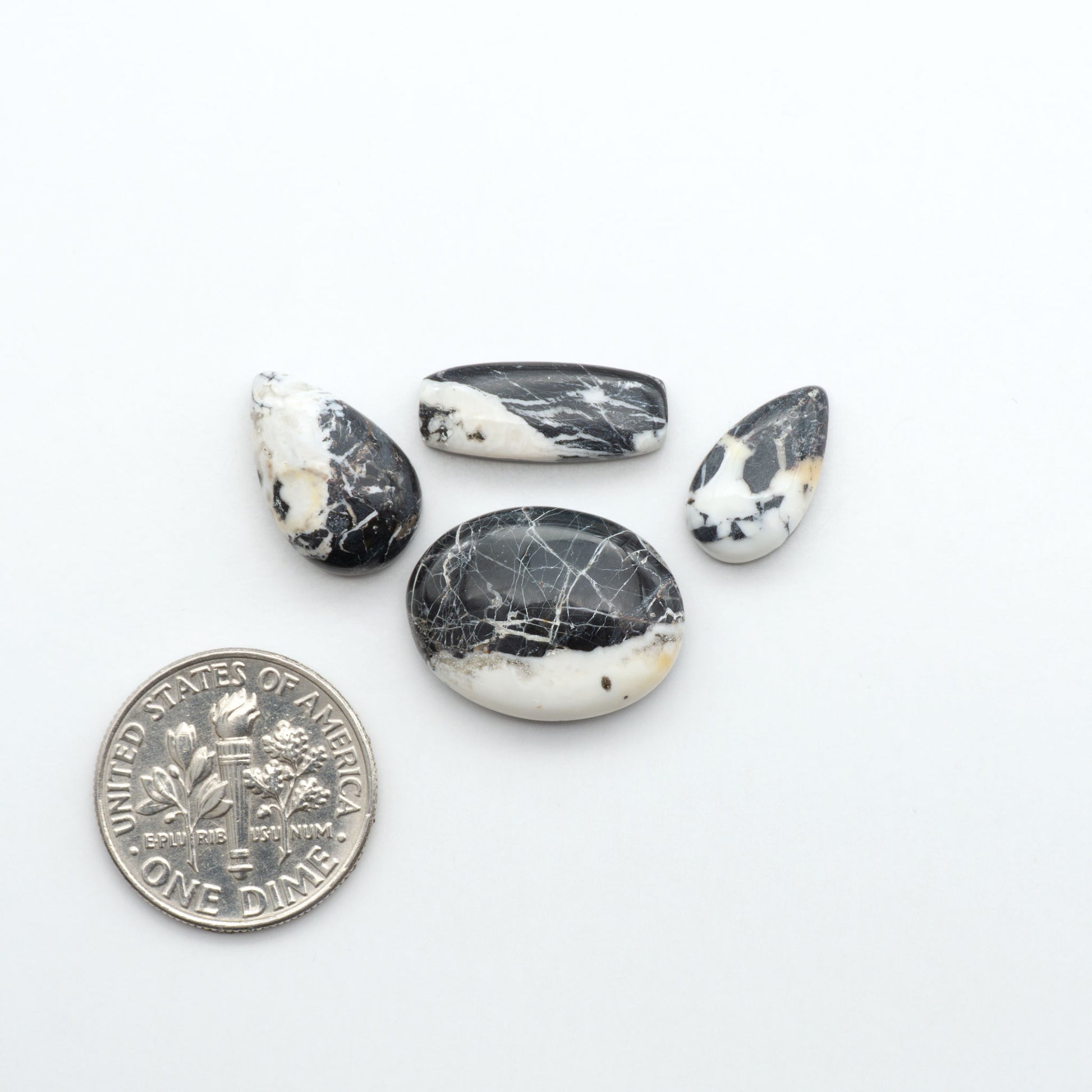 Four black and white marbled stones with a U.S. dime for scale on a white background. White Buffalo Stone Cabochons