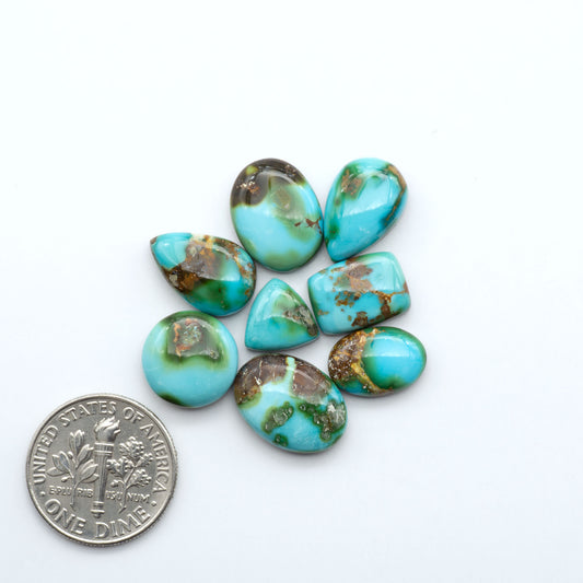 Turquoise stones with brown inclusions on a white background, shown with a dime for scale.