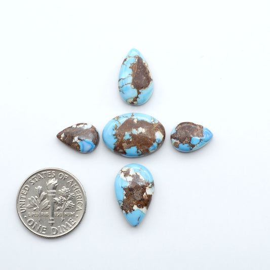 Five turquoise stones with brown accents on a white background, one next to a U.S. dime for size comparison.
