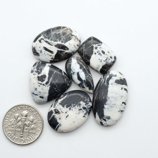 White Buffalo Stone oval cabochon set with black and white matrix shown with U.S. dime for size.
