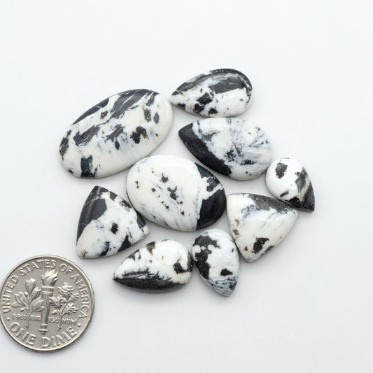 White Buffalo Stone oval cabochon set with black and white matrix shown with U.S. dime for size.
