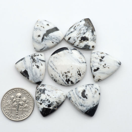 White Buffalo Stone cabochon lot with black and white matrix shown with U.S. dime for size.
