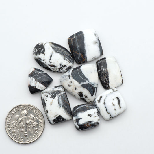White Buffalo Stone cabochon lot with black and white matrix shown with U.S. dime for size.