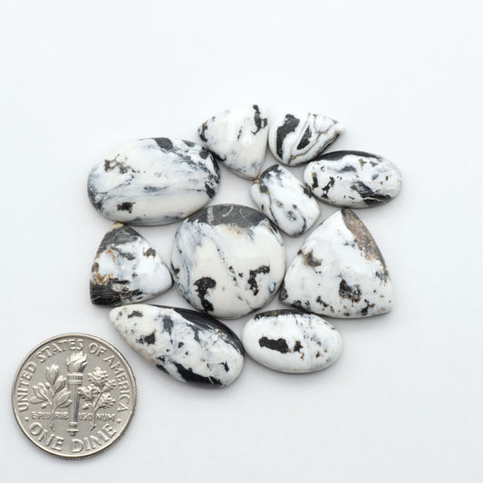 White Buffalo Stone cabochon lot with black and white matrix shown with U.S. dime for size.