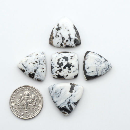 Five white buffalo cabochon stones with white and black matrix with a U.S. dime for scale on a white background