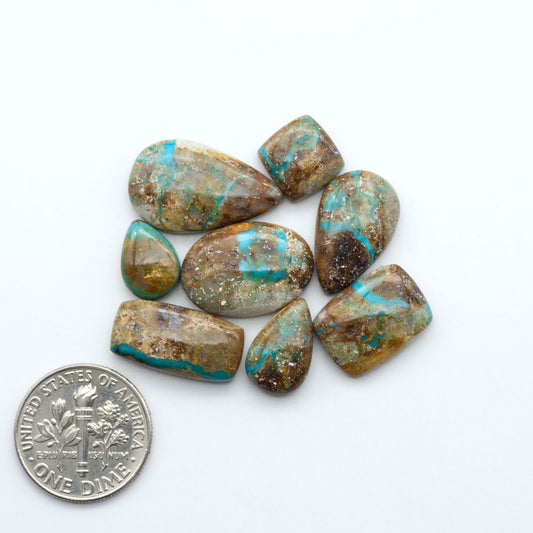 royston Turquoise stones with a U.S. dime for scale on a white background