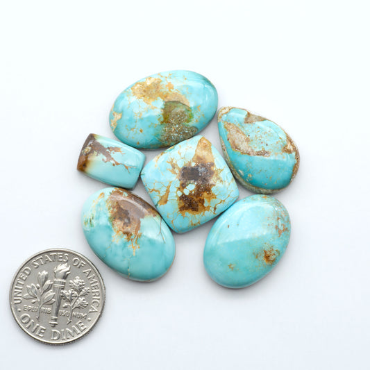 royston turquoise cabochons with brown inclusions on a white background, stones next to a U.S. dime for size comparison.