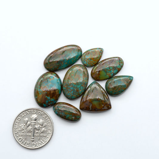 Sonoran Mountain turquoise cabochon lot green stones on white background with U.S. dime for size.