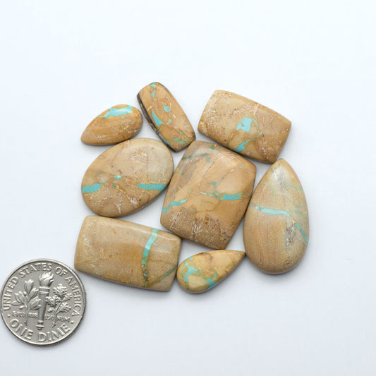 These Crow Springs Ribbon Turquoise Cabochons have a rich color and matrix that are sure to add a unique touch to a variety of jewelry pieces.