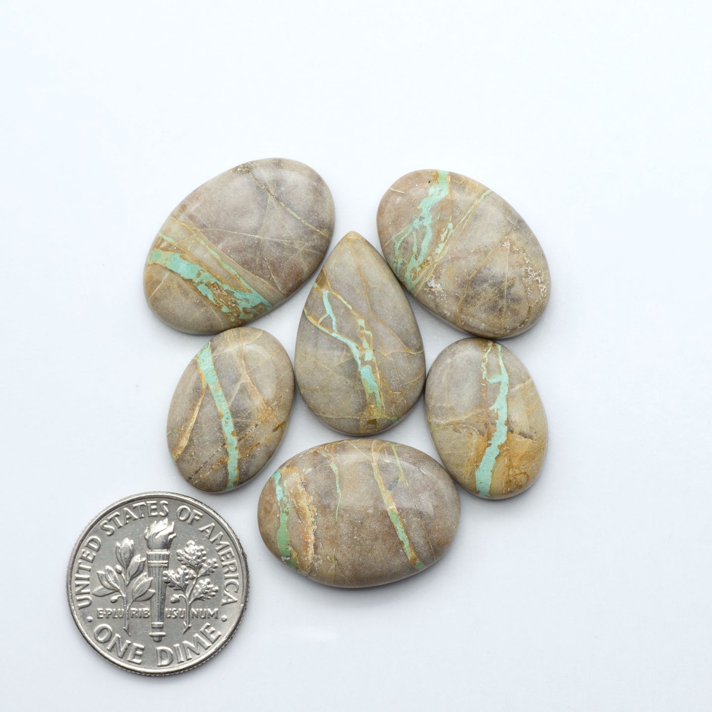 Crow Springs Ribbon Turquoise cabochons, rich color with distinctive matrix, polished stones on white background with US dime for scale