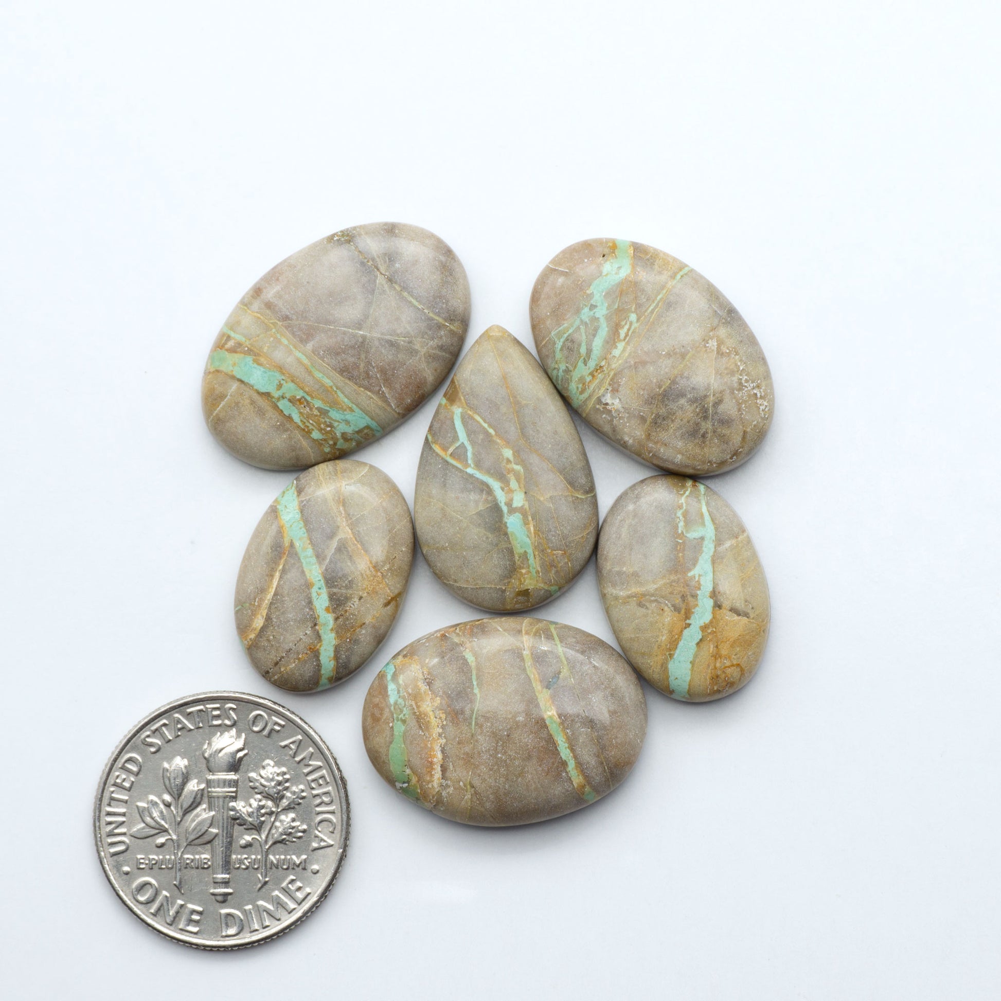 Crow Springs Ribbon Turquoise cabochons, rich color with distinctive matrix, polished stones on white background with US dime for scale