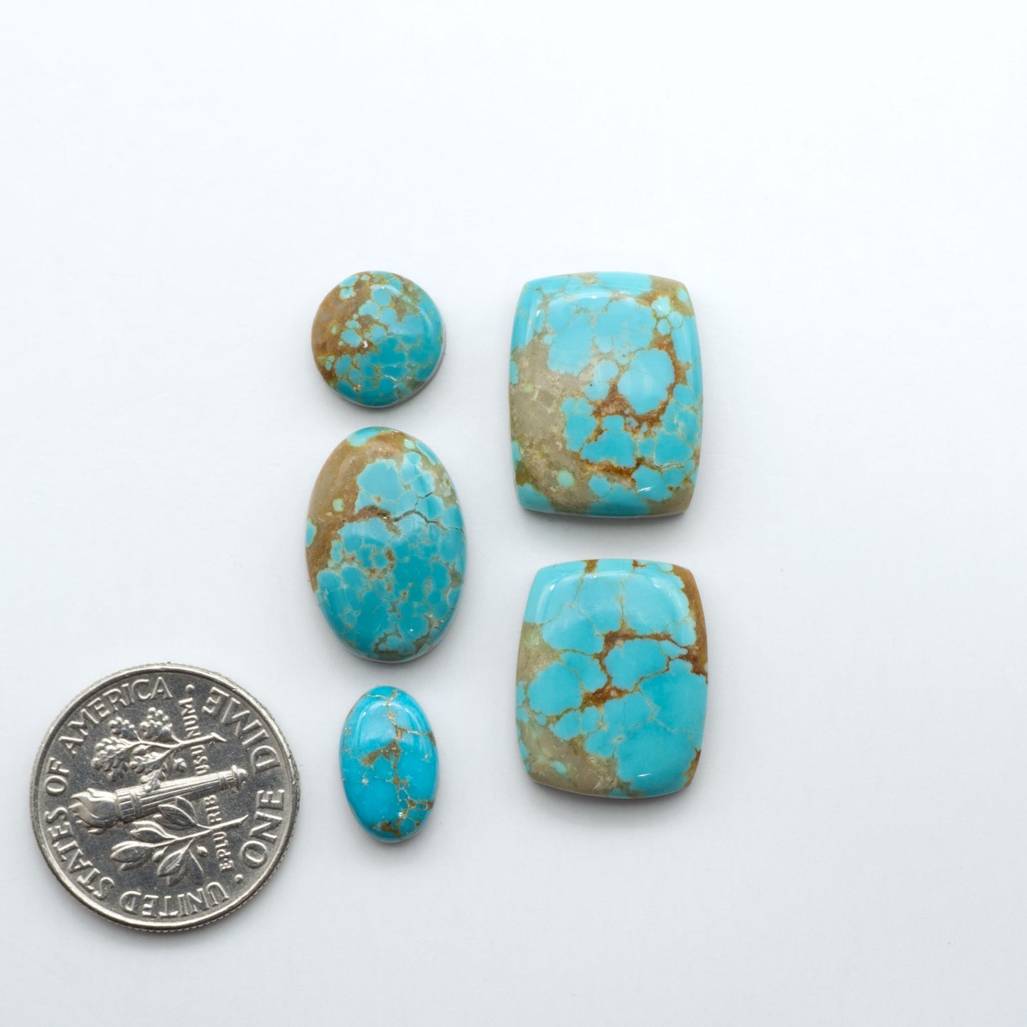 Number 8 Turquoise cabochons, classic color with distinctive matrix, polished stones on white background with US dime for scale