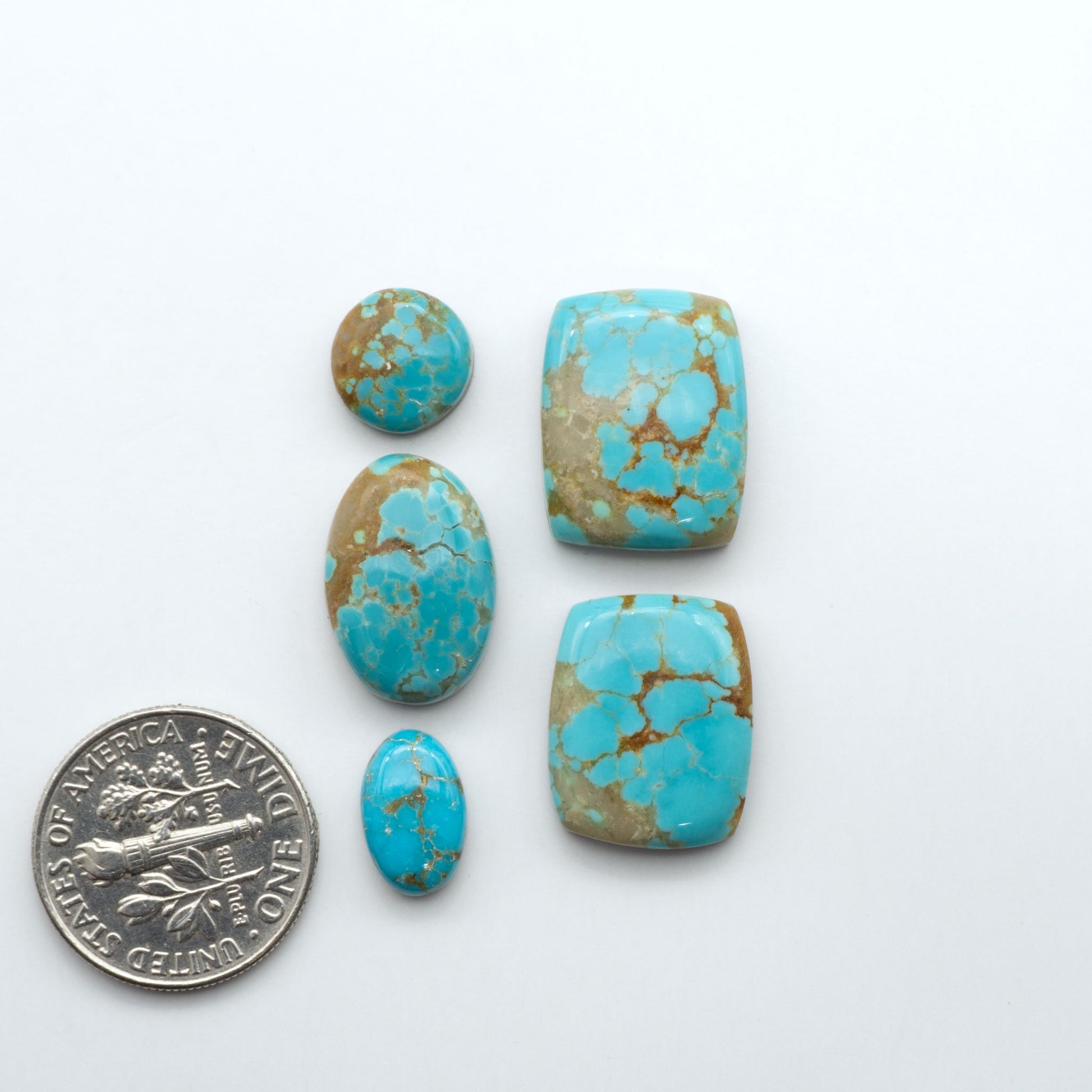 Number 8 Turquoise cabochons, classic color with distinctive matrix, polished stones on white background with US dime for scale