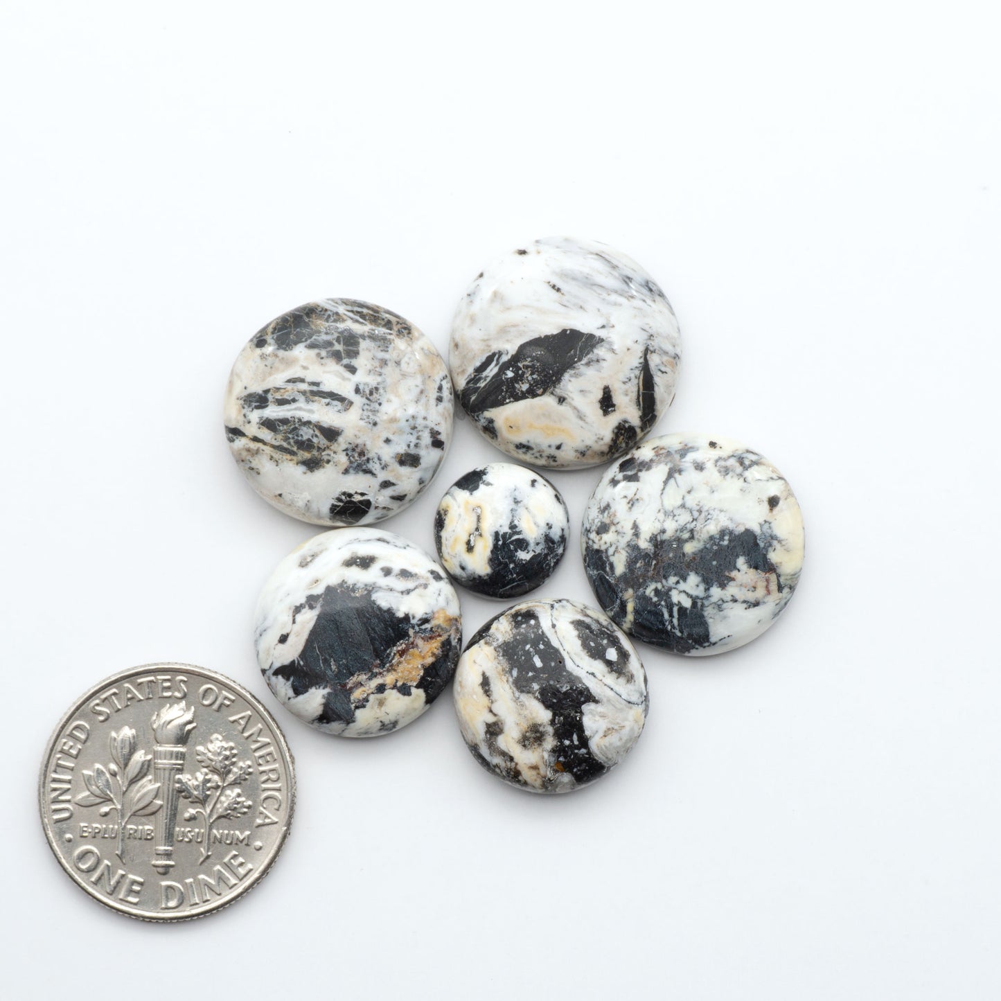 White Buffalo stone cabochons, white stone with black matrix, polished stones on white background with US dime for scale